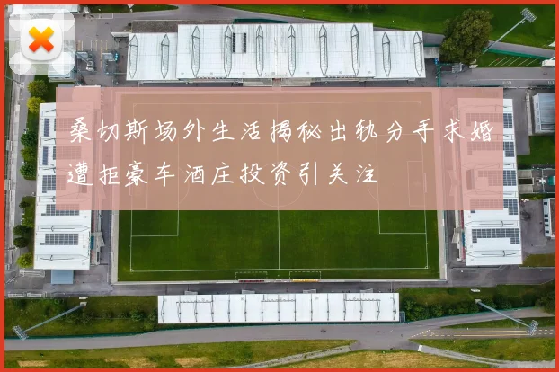 桑切斯场外生活揭秘出轨分手求婚遭拒豪车酒庄投资引关注