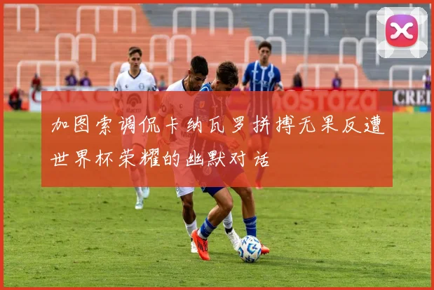 加图索调侃卡纳瓦罗拼搏无果反遭世界杯荣耀的幽默对话