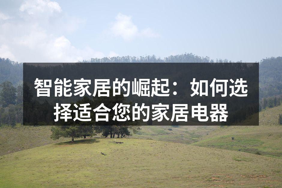 智能家居的崛起：如何选择适合您的家居电器